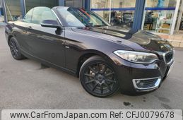 bmw 2-series 2015 -BMW--BMW 2 Series DBA-1J20--490965---BMW--BMW 2 Series DBA-1J20--490965-