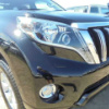 toyota land-cruiser-prado 2014 DAN0053 image 5