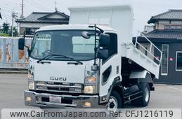 isuzu elf-truck 2009 GOO_NET_EXCHANGE_0404044A30250529W001