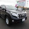 toyota land-cruiser-prado 2016 504749-RAOID:9954 image 8