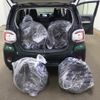 daihatsu boon 2020 quick_quick_5BA-M700S_0026150 image 6