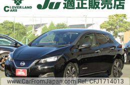 nissan leaf 2019 CFJ1714013