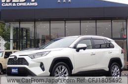 toyota rav4 2019 CFJ1805492