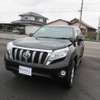 toyota land-cruiser-prado 2014 504749-RAOID11194 image 6