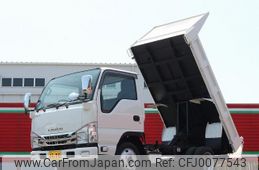 isuzu elf-truck 2019 quick_quick_TPG-NJS85AN_NJS85-7008244