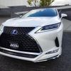 lexus rx 2021 CFJ0972948 image 6