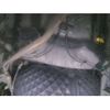 daihatsu mira-tocot 2020 -DAIHATSU--Mira Tocot DBA-LA550S--LA550S-0038610---DAIHATSU--Mira Tocot DBA-LA550S--LA550S-0038610- image 6