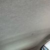 toyota passo 2010 CFJ1473912 image 20