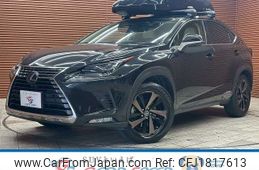 lexus nx 2019 CFJ1817613