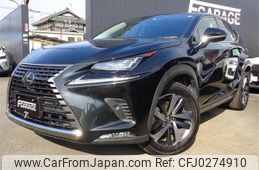 lexus nx 2019 CFJ0274910