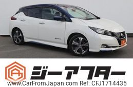 nissan leaf 2018 CFJ1714435