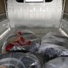 subaru sambar-truck 2024 -SUBARU 【Ｎｏ後日 】--Samber Truck S510J-0044459---SUBARU 【Ｎｏ後日 】--Samber Truck S510J-0044459- image 11