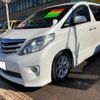 toyota alphard 2010 -TOYOTA 【名変中 】--Alphard ANH20W--8124541---TOYOTA 【名変中 】--Alphard ANH20W--8124541- image 19