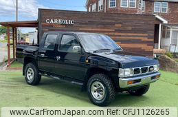 nissan datsun-pickup 1995 GOO_JP_700040317230250507001