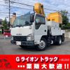 isuzu elf-truck 2017 GOO_NET_EXCHANGE_0730189A30241029W002 image 1