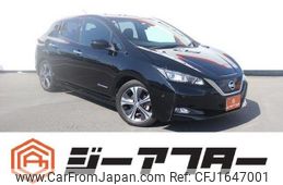 nissan leaf 2019 CFJ1647001