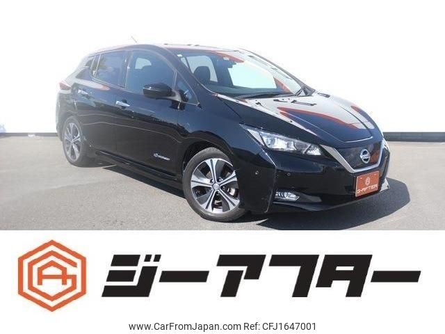 nissan leaf 2019 CFJ1647001 image 1