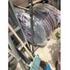 toyota porte 2014 -TOYOTA--Porte DBA-NCP141--NCP141-9127984---TOYOTA--Porte DBA-NCP141--NCP141-9127984- image 23