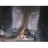 toyota prius 2018 -TOYOTA--Prius DAA-ZVW50--ZVW50-6134043---TOYOTA--Prius DAA-ZVW50--ZVW50-6134043- image 6
