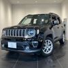 jeep renegade 2019 quick_quick_BU13_1C4BU0000KPK28138 image 1