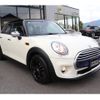 mini mini-others 2015 CFJ7184822 image 2