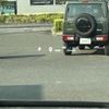 toyota alphard 2025 CFJ1685377 image 13