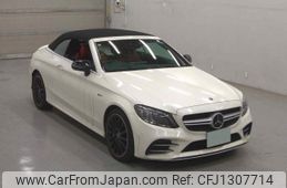mercedes-benz c-class 2019 quick_quick_CBA-205464_WDD2054642F818933