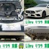 mercedes-benz cls-class 2019 quick_quick_DAA-257359_WDD2573592A033629 image 17