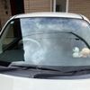 daihatsu mira-gino 2006 CFJ1809989 image 9