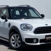 mini mini-others 2019 365 image 1