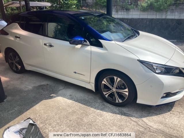 nissan leaf 2018 CFJ1683864 image 2