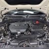 mini mini-others 2016 CFJ6532989 image 19