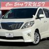 toyota alphard 2009 -TOYOTA--Alphard ANH20W--8042817---TOYOTA--Alphard ANH20W--8042817- image 1