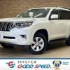 toyota land-cruiser-prado 2019 CFJ1821162 image 1