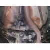 subaru outback 2011 CFJ1497985 image 14