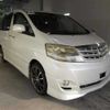 toyota alphard 2007 -TOYOTA--Alphard ANH10W--0191676---TOYOTA--Alphard ANH10W--0191676- image 1