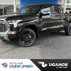 toyota tundra 2024 GOO_NET_EXCHANGE_0203295A20230614D003 image 1