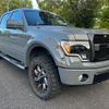 ford f150 2009 GOO_NET_EXCHANGE_0707911A30250725W001 image 7