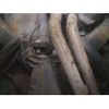 mercedes-benz s-class 1989 CFJ1551280 image 7