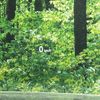 rover discovery 2024 CFJ1772218 image 5