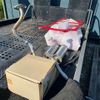 honda acty-truck 2019 CFJ0474995 image 45
