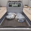 subaru sambar-truck 2008 CFJ1814849 image 11