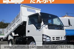 isuzu elf-truck 2007 GOO_NET_EXCHANGE_0730265A30250214W001