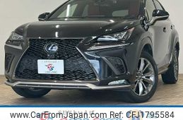 lexus nx 2019 CFJ1795584
