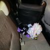 toyota passo 2013 CFJ1854028 image 11