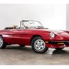 alfa-romeo spider 1990 -ALFA ROMEO--Alfa Romeo Spider -115410---ZAR11541000036574---ALFA ROMEO--Alfa Romeo Spider -115410---ZAR11541000036574- image 6