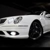 mercedes-benz amg 2004 -MERCEDES-BENZ--AMG GH-215374--WDB2153741A043119---MERCEDES-BENZ--AMG GH-215374--WDB2153741A043119- image 7