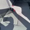 toyota aqua 2019 CFJ1664892 image 14