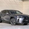 lexus ux 2021 CFJ1500835 image 16