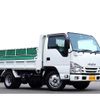 isuzu elf-truck 2021 GOO_NET_EXCHANGE_0208594A30241019W001 image 10